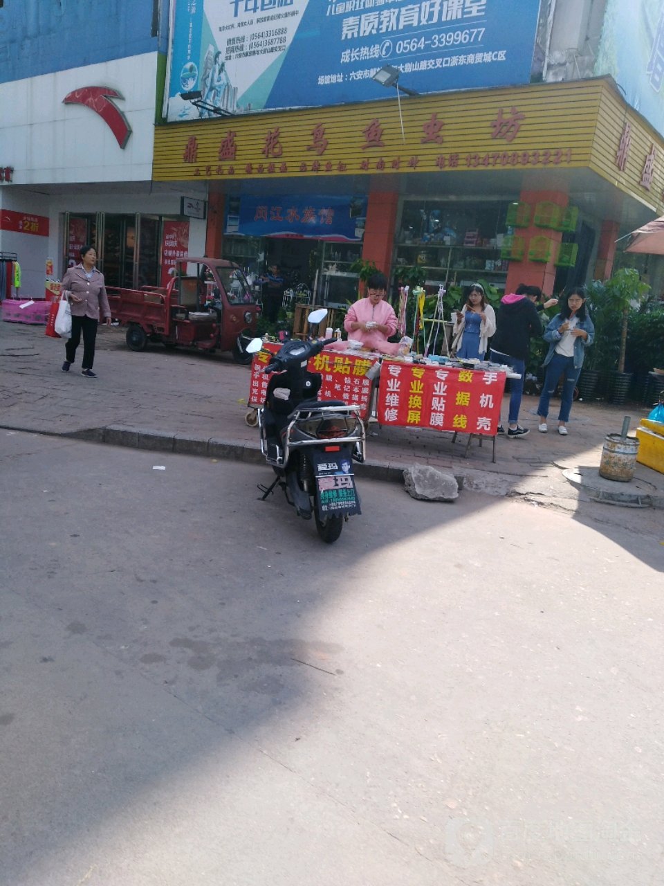 鼎盛花鸟鱼虫坊(嘉利星城C区店)