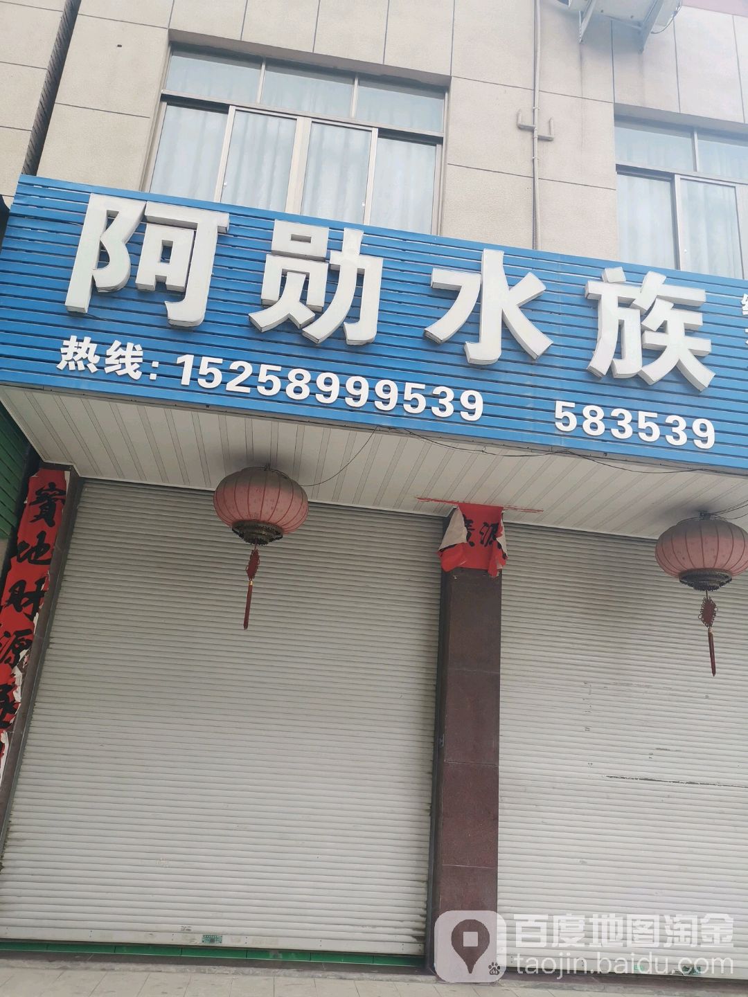 阿勋水族