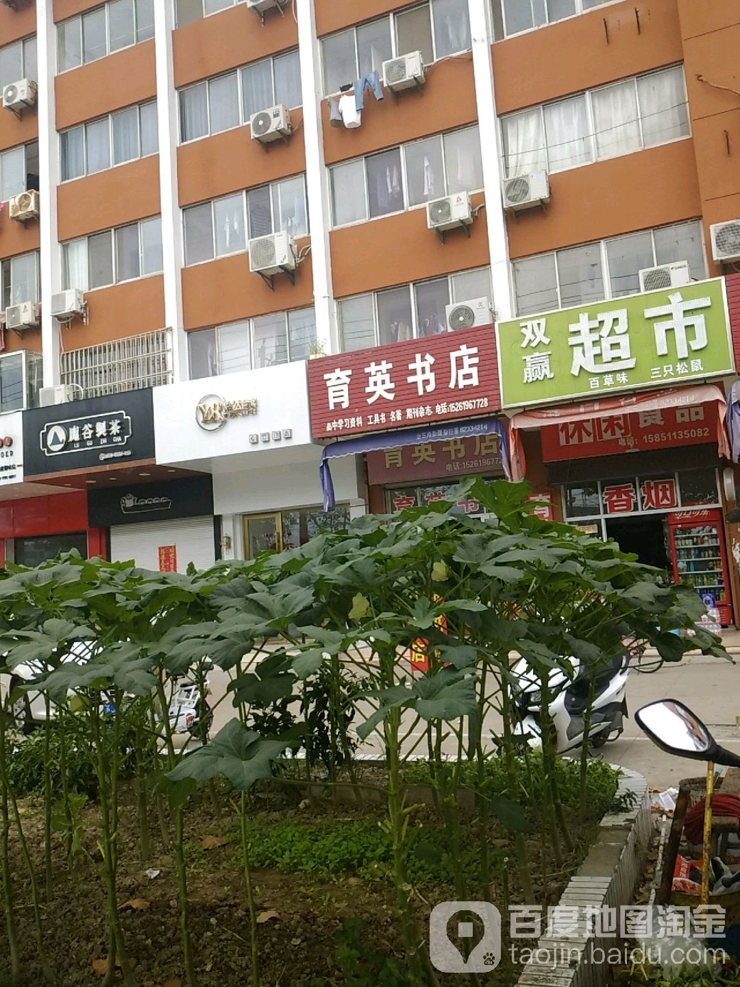 双赢美食