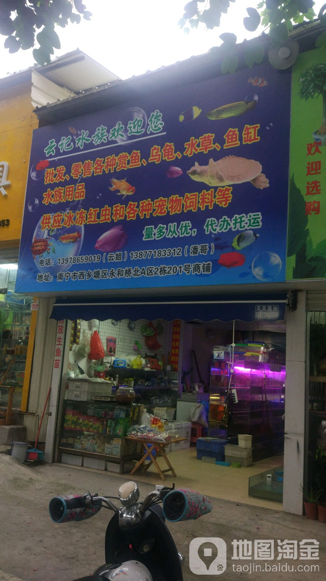 云记水族(南宁永和花鸟市场店)