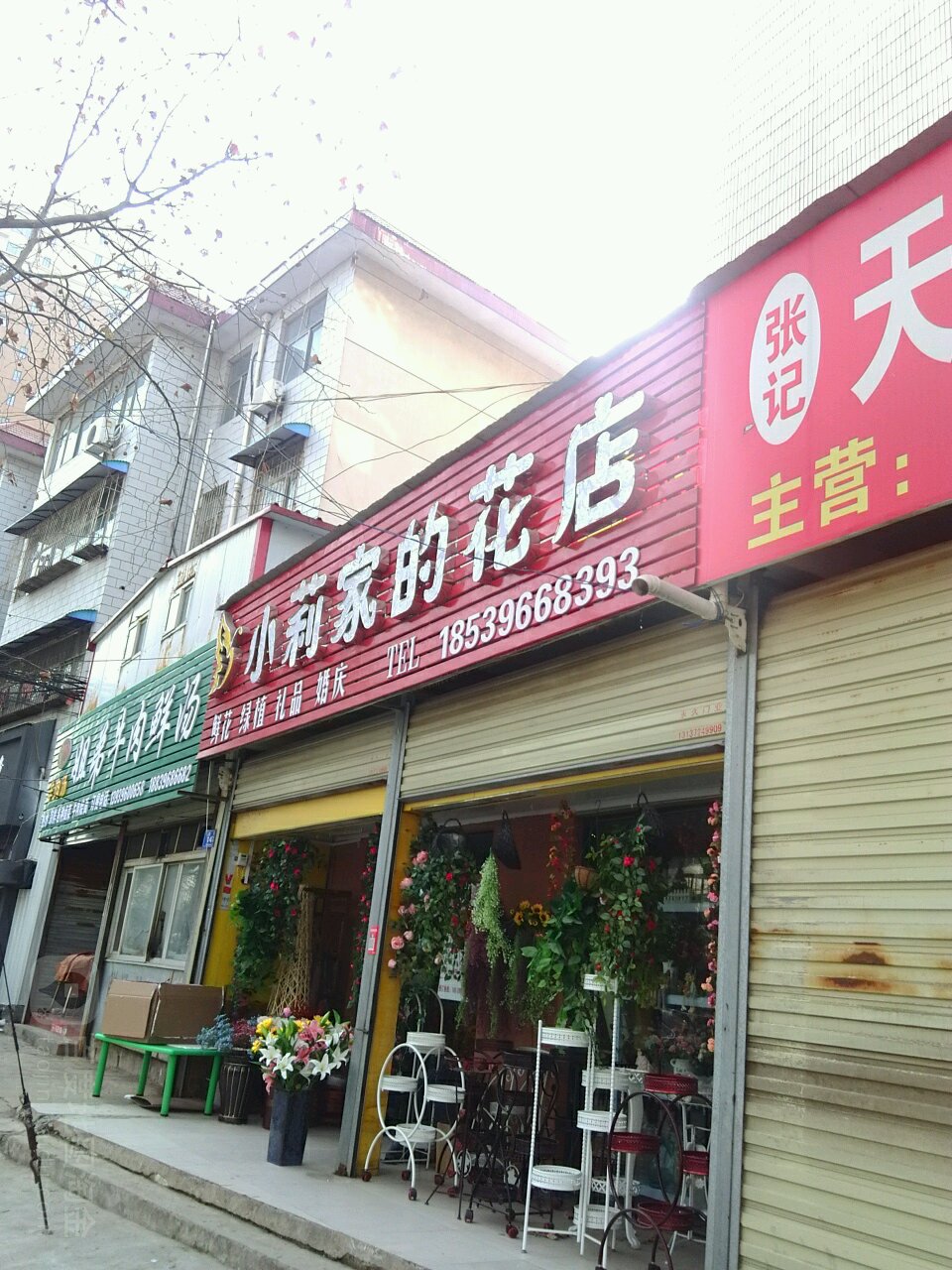 小莉家的花店