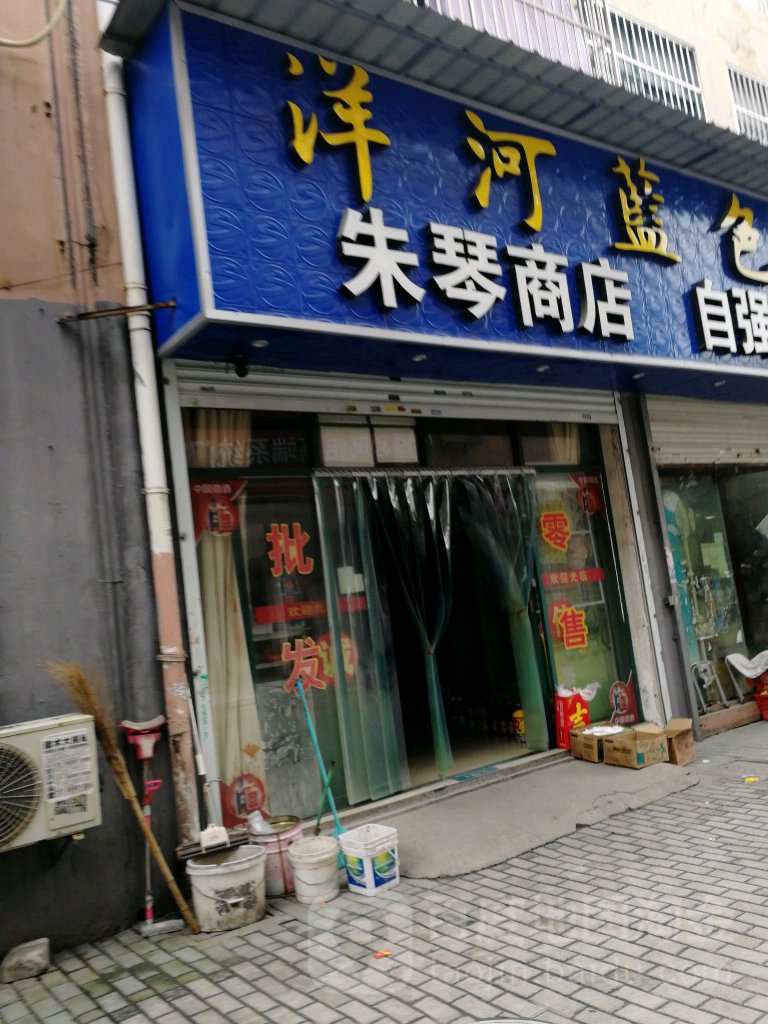 朱芹商店