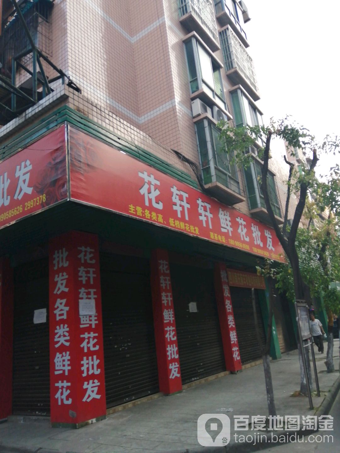花轩轩鲜花批发