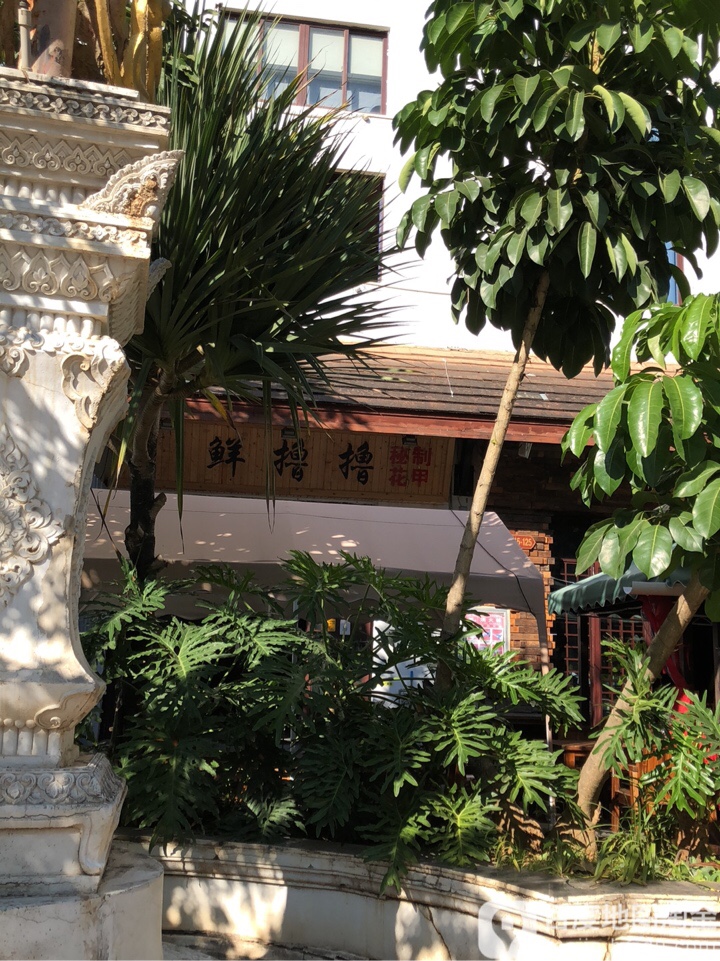 鲜撸撸秘制线上花