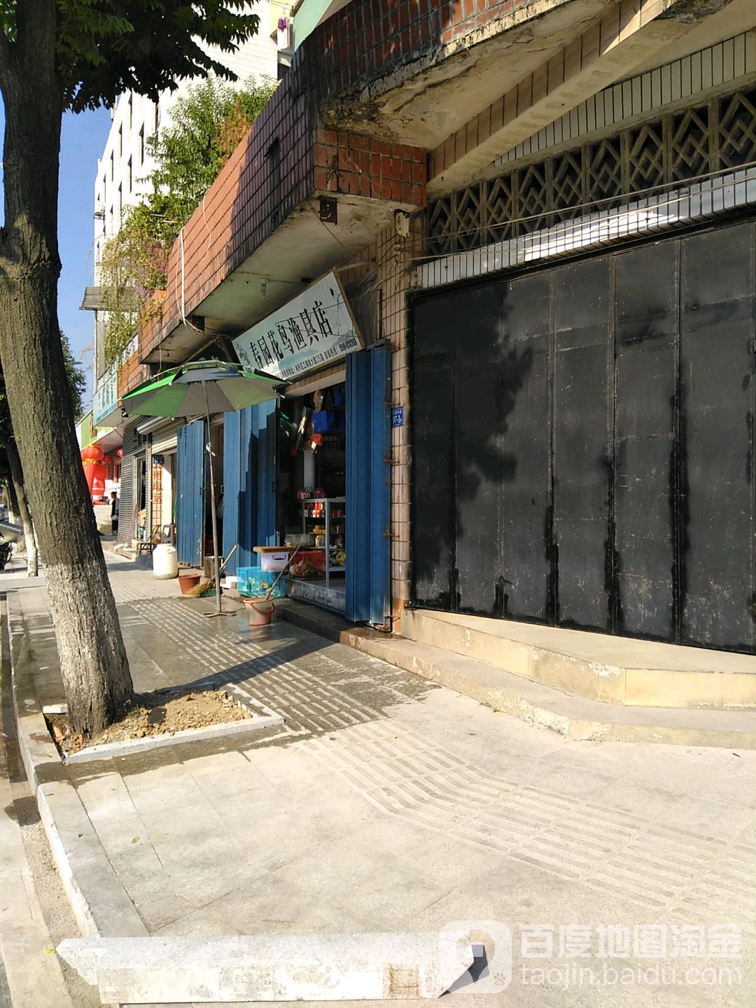 春园花鸟渔具店