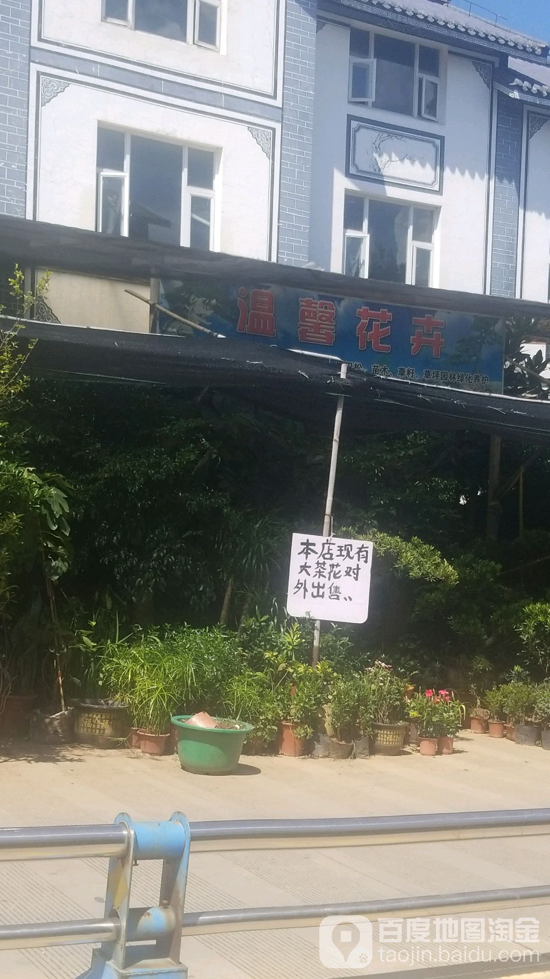 温馨花卉