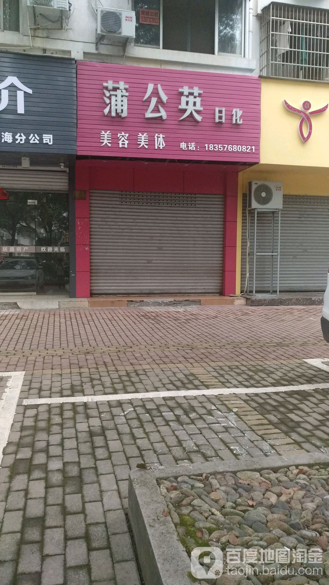 挖蒲公英日化美容美体