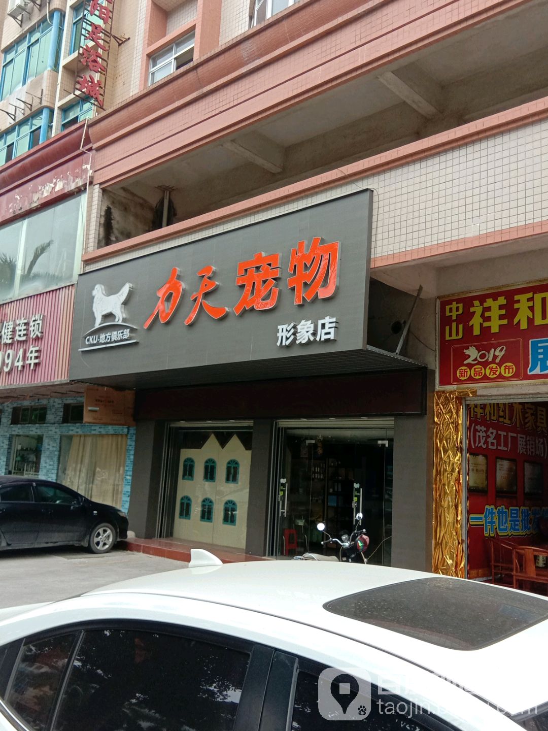 力天宠物形象店