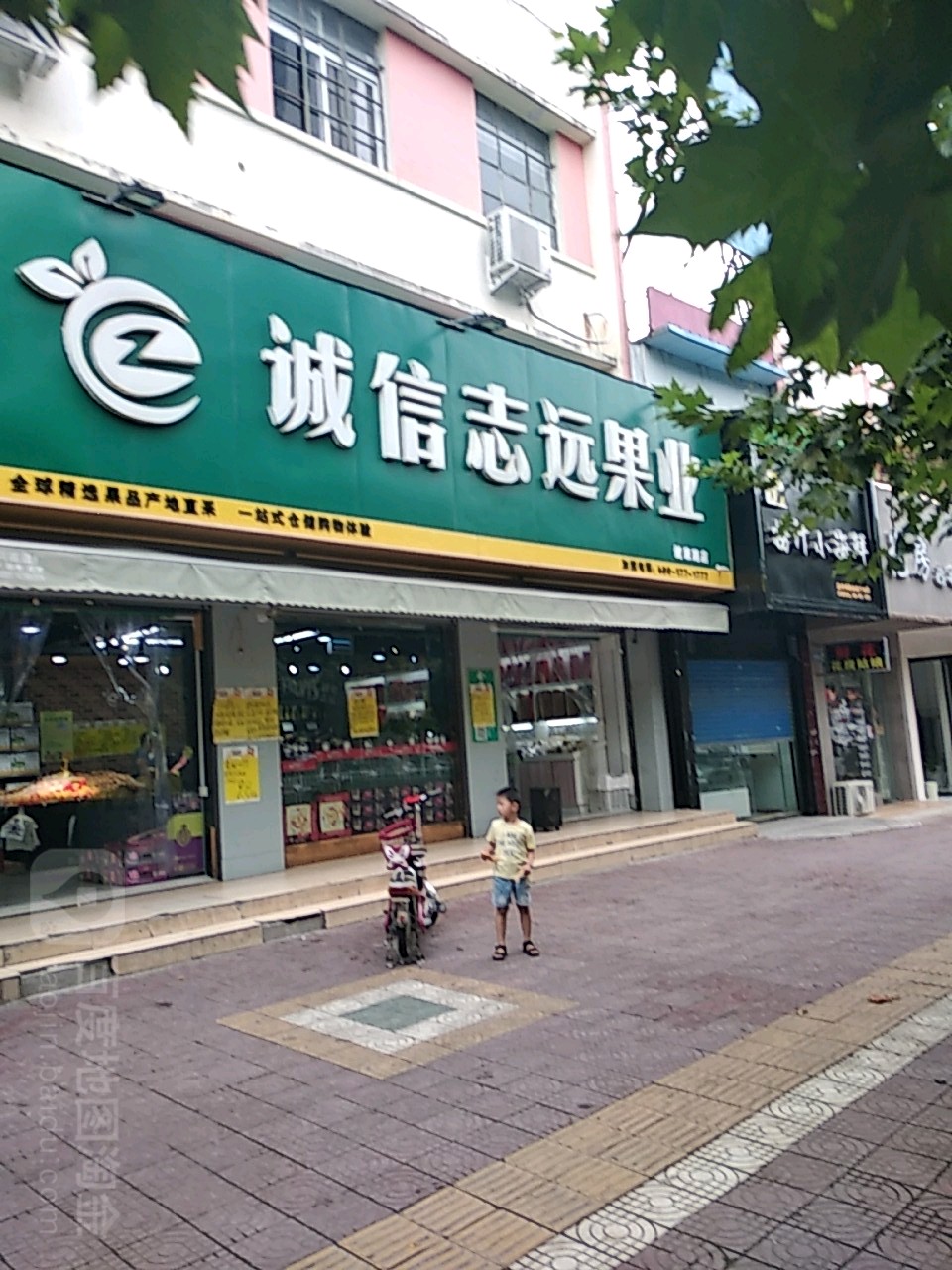 镇平县诚信志远果业(健康路店)