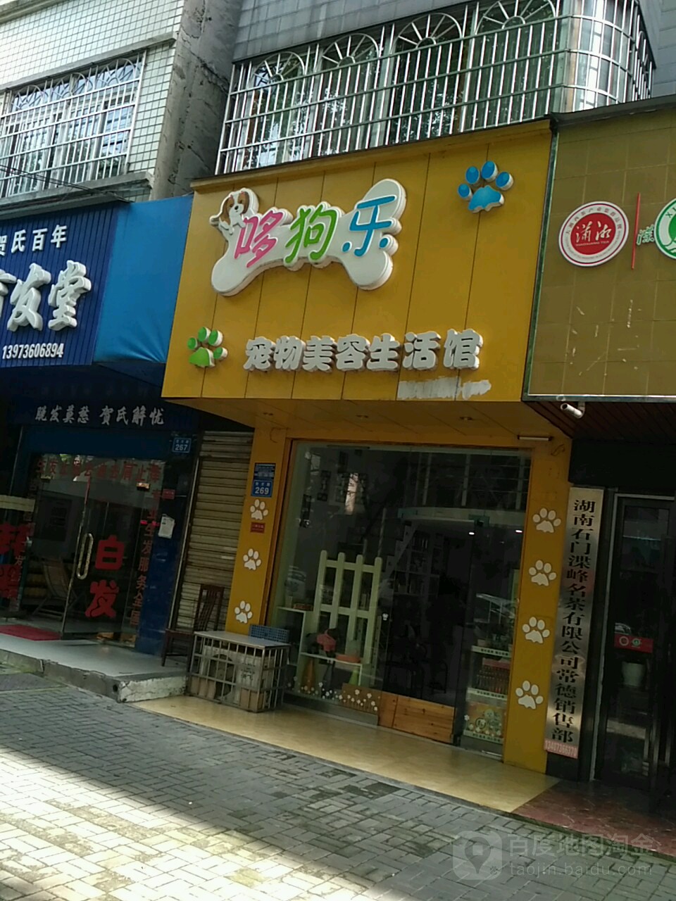 哆狗乐宠物美容生活馆(东华铭园店)