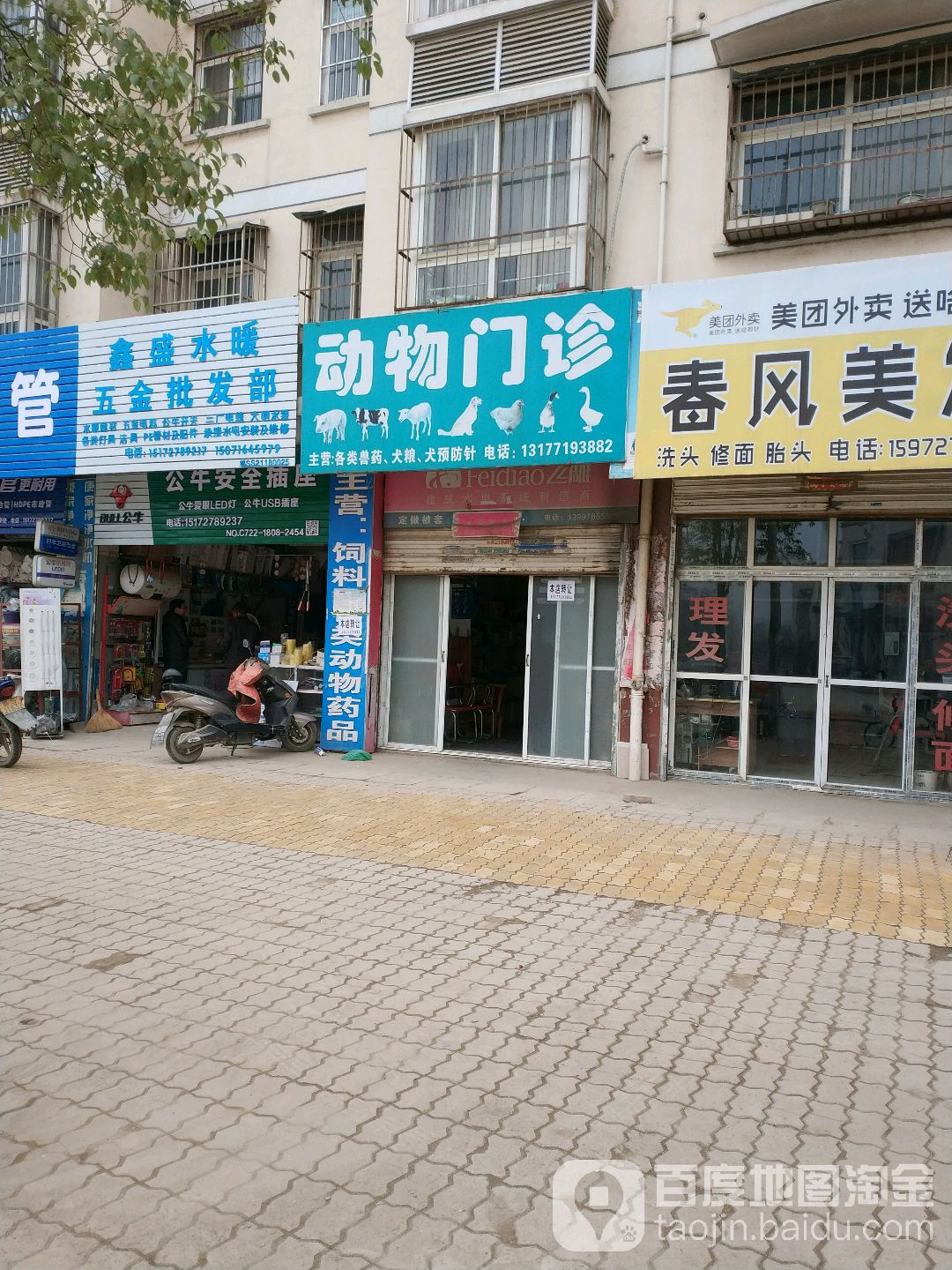 动物门诊
