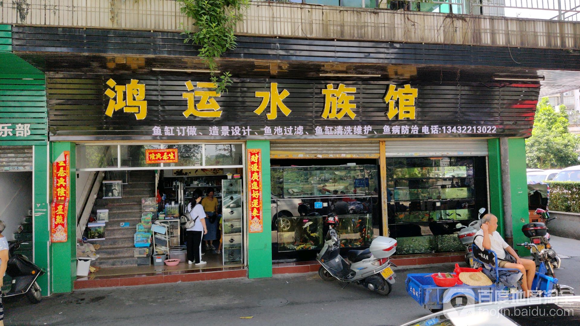 鸿运水族馆(国泰广场店)