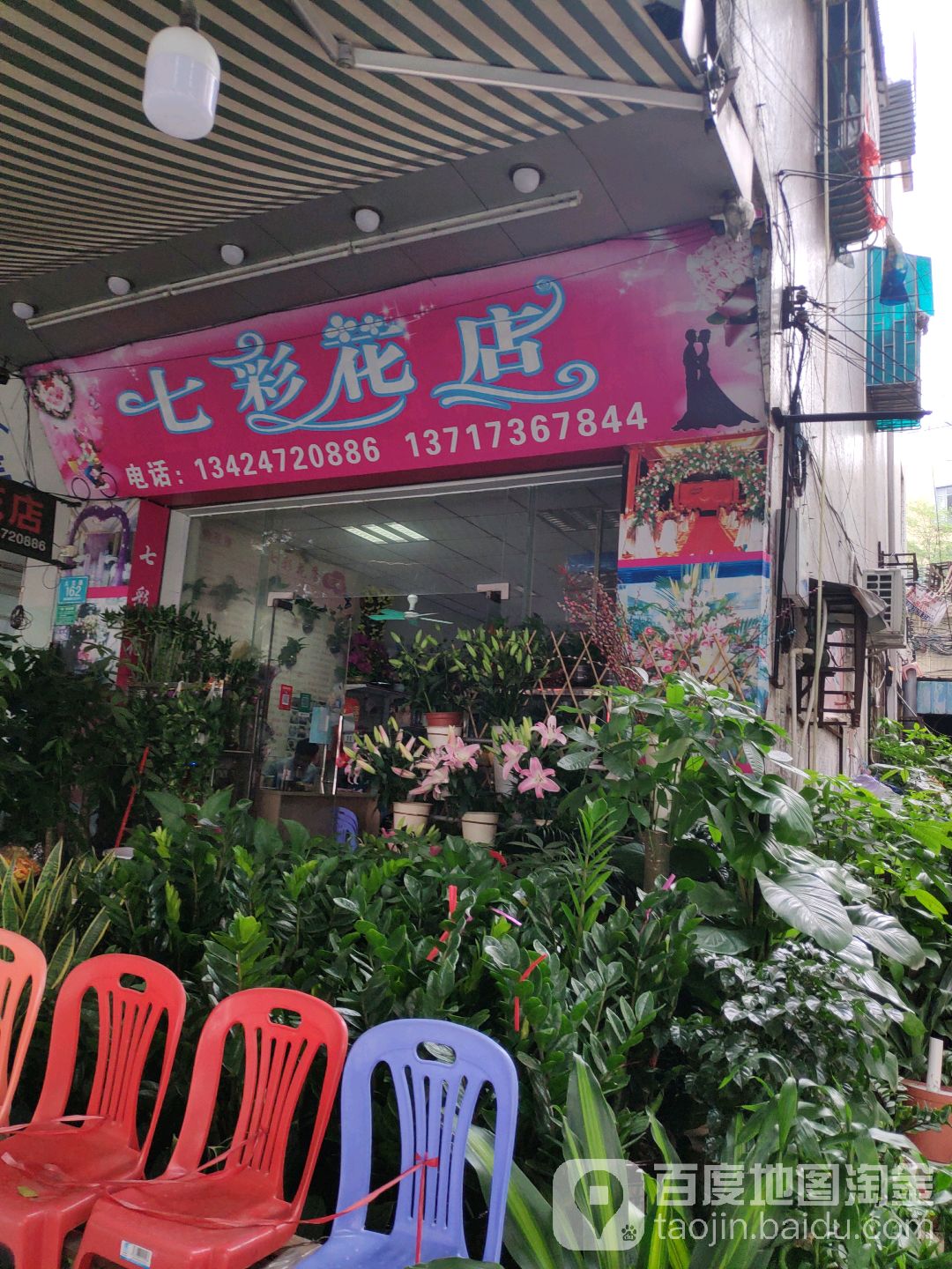 七彩花店(太宝路店)