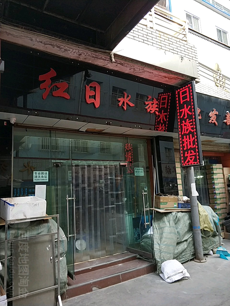红日水族