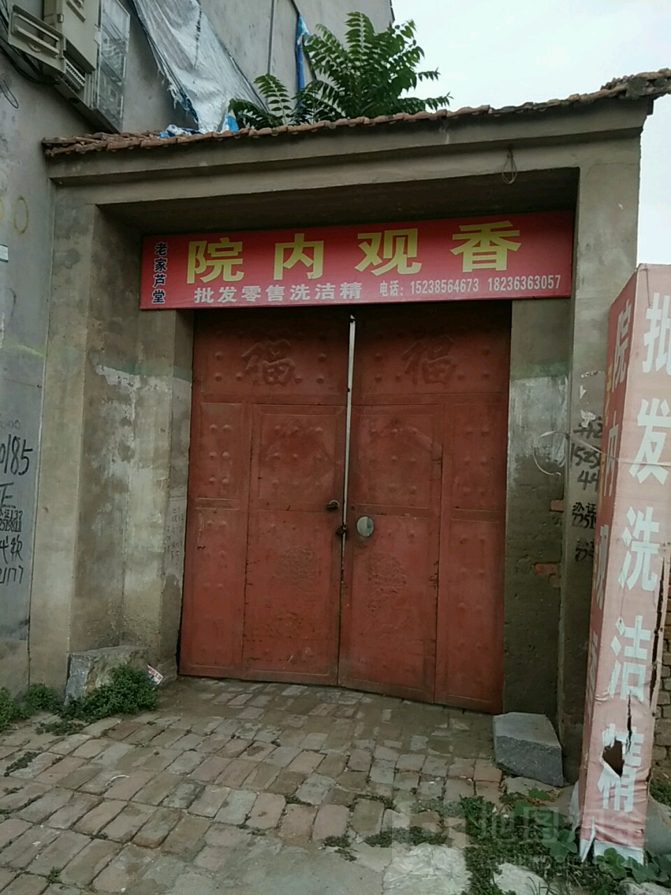 园内覌香茶