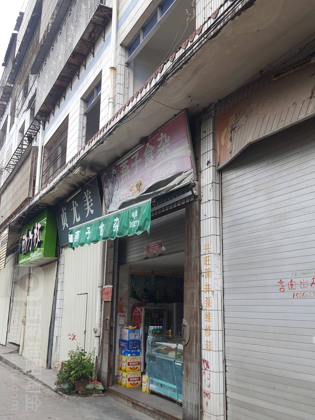 燕子食杂