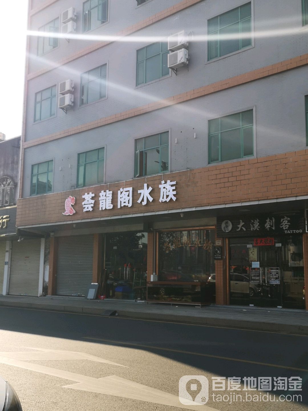 荟龙阁水族