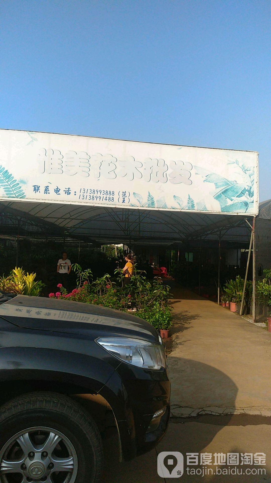 海口惟美花木批发