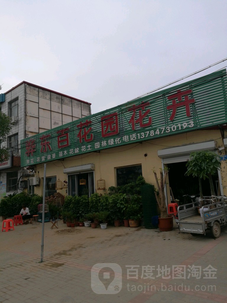 骅东百花园花卉