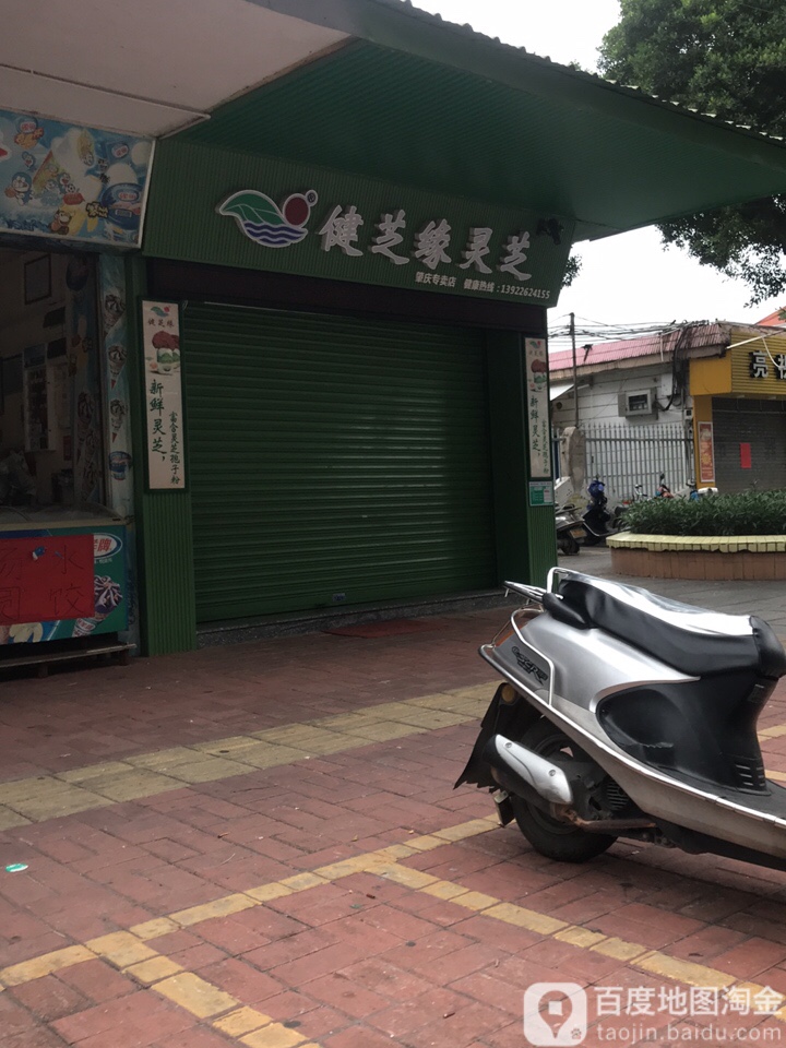 健芝缘灵芝电(肇庆专卖店)