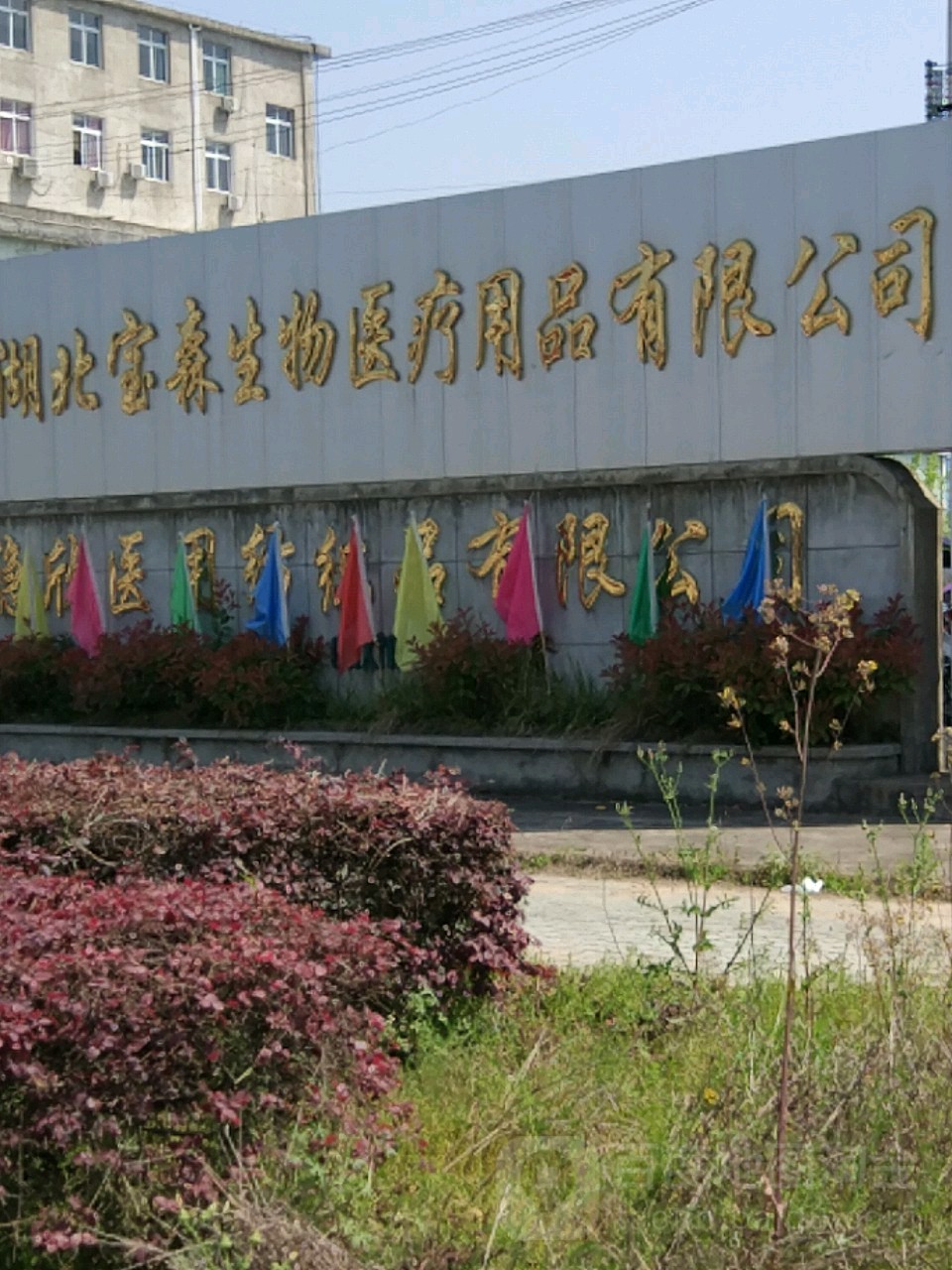 湖北宝森生物医疗用品有限公司