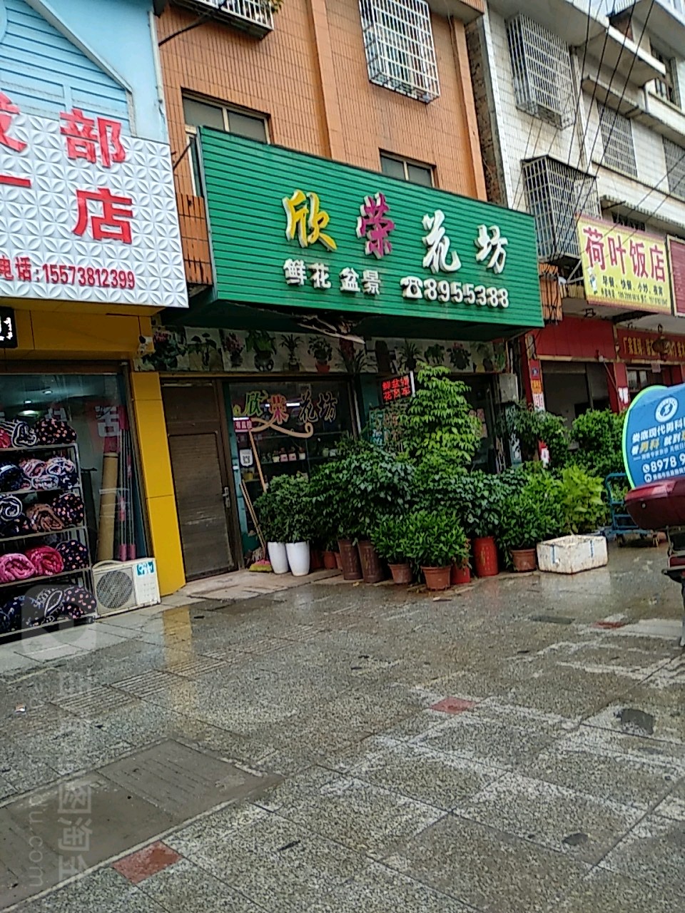 欣荣花坊