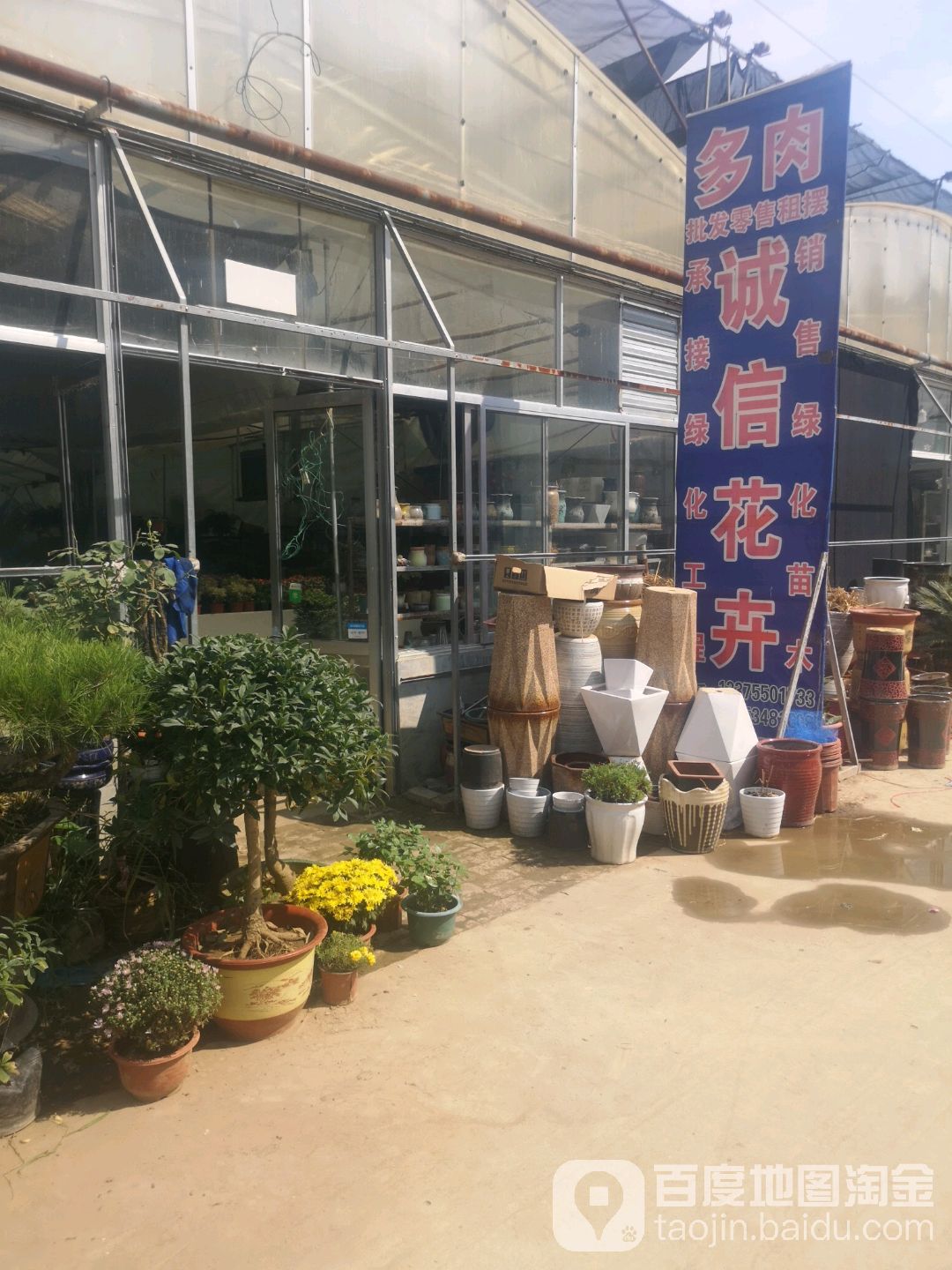 诚信花卉(将军大道店)