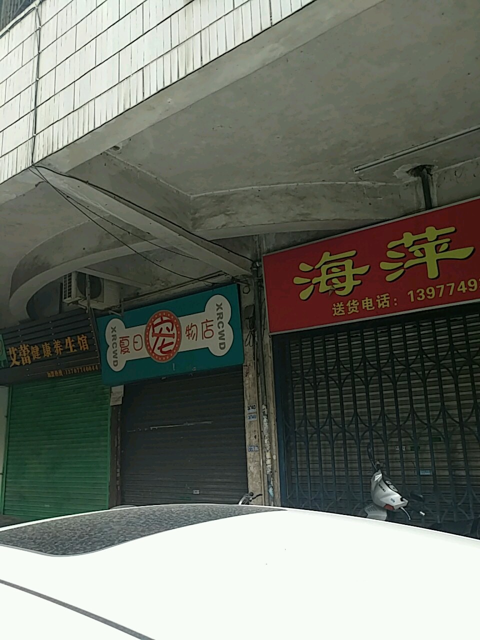 夏日宠物店店