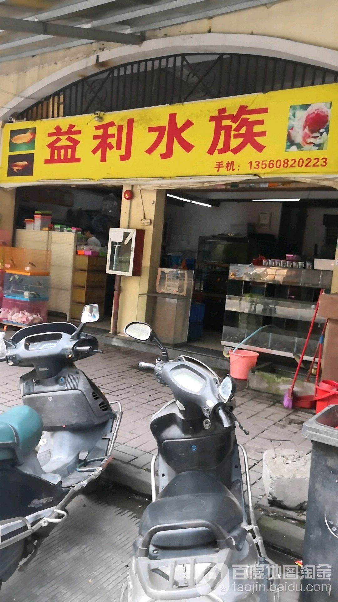 益骊水族(涧升百货店)