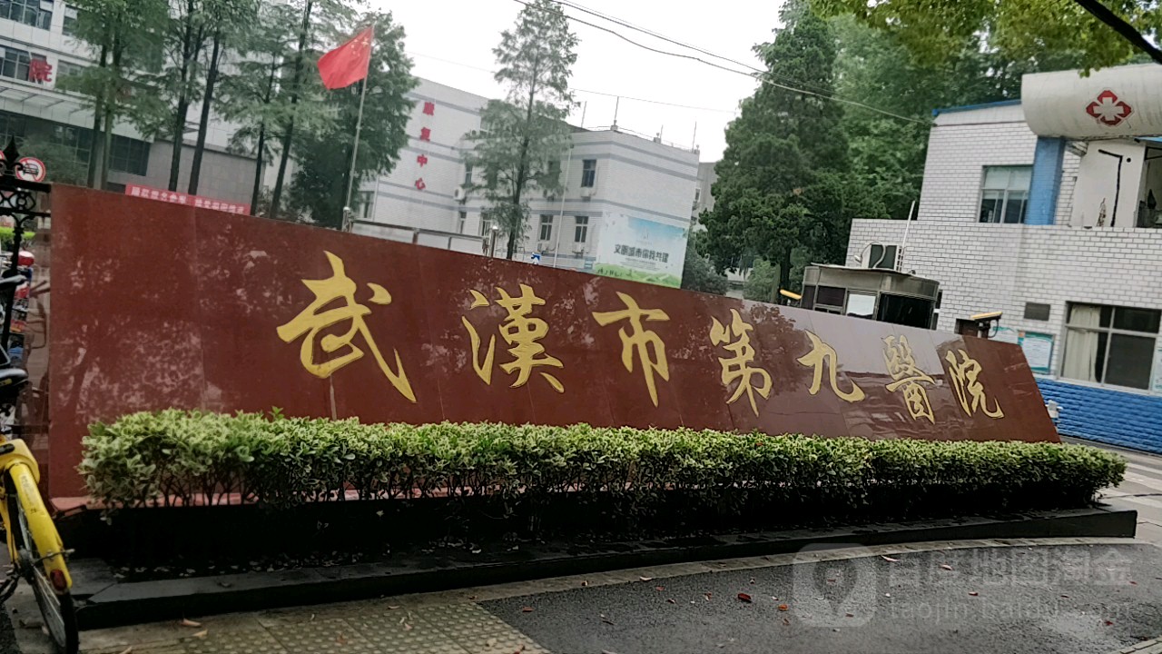 武汉市第九医院