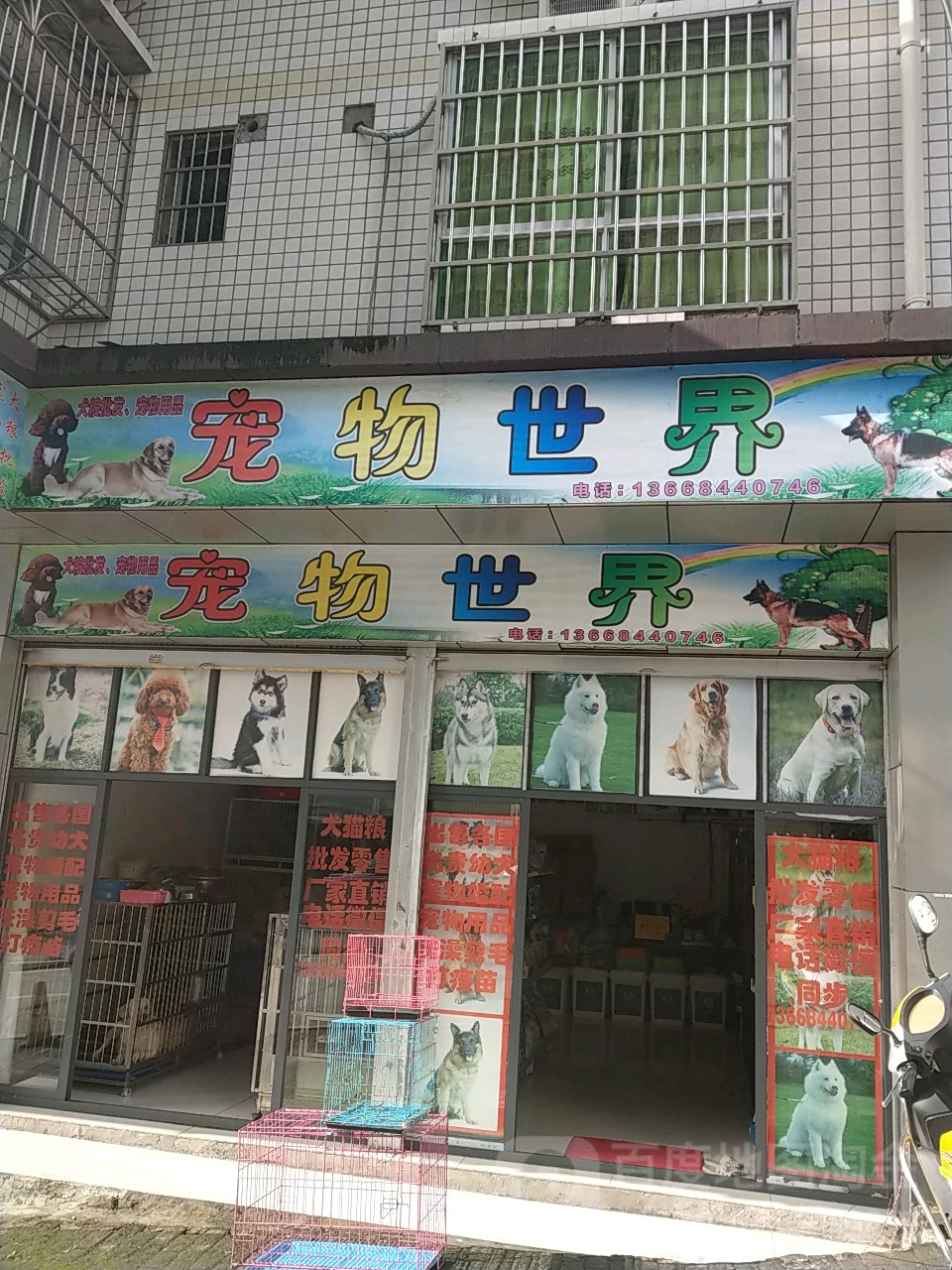 宠物园世(福田小区店)