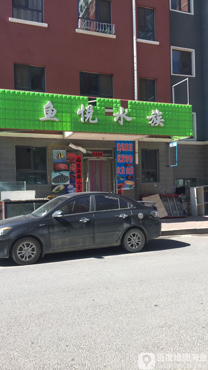 鱼悦水族