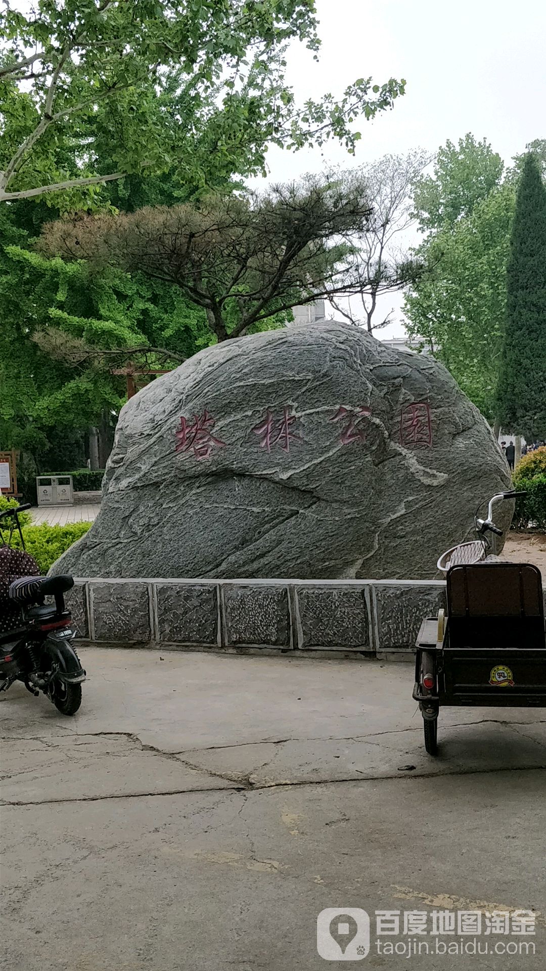 塔林公园