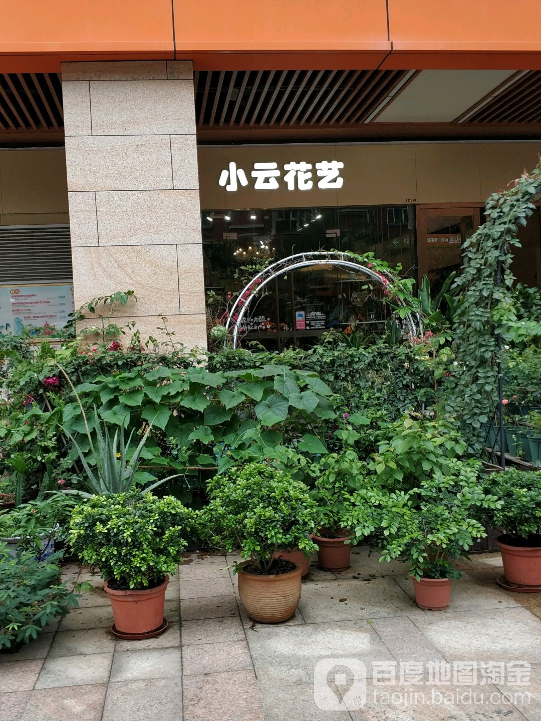 小云花艺(大信新都汇新悦店)