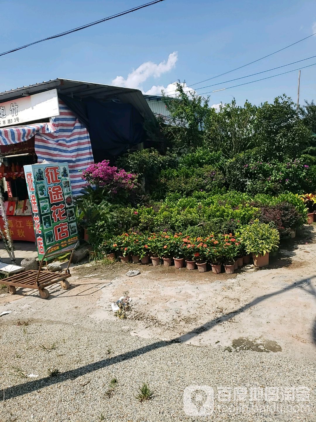 征途花店