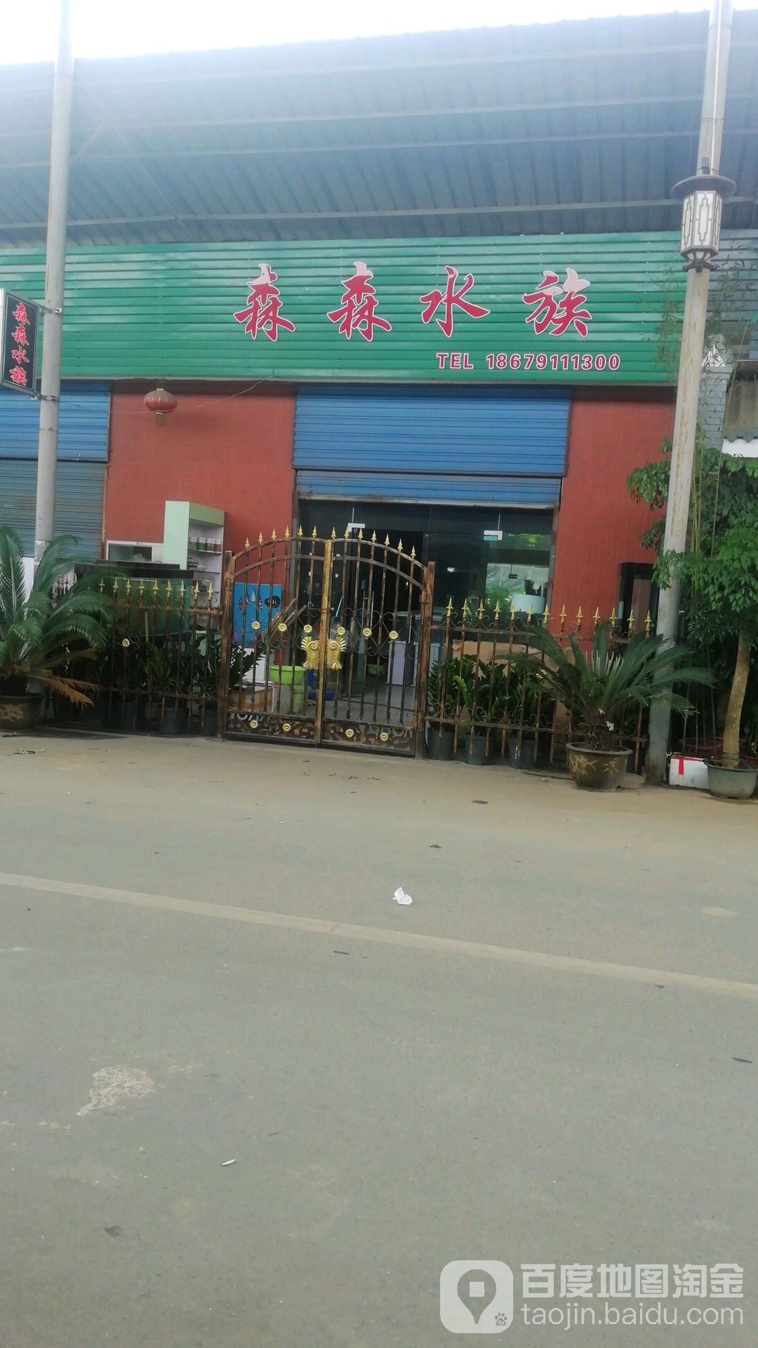 森森水景专卖店