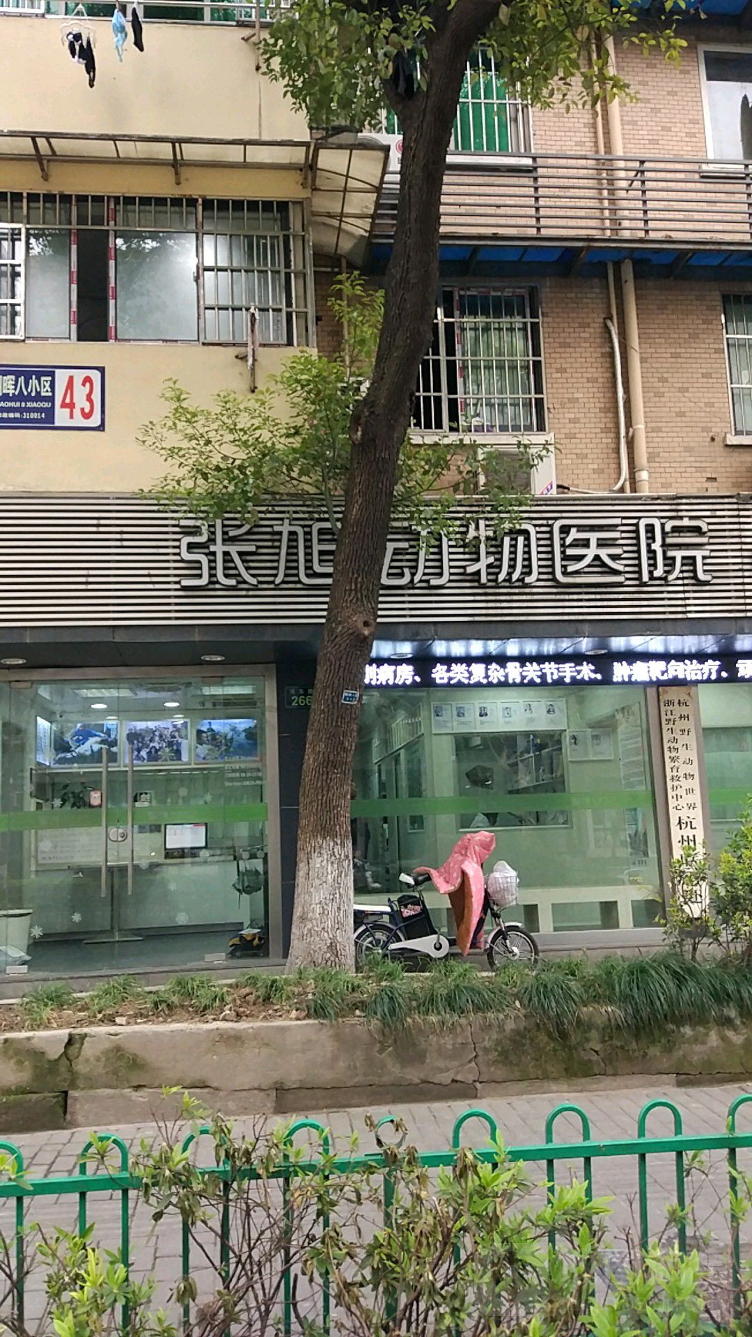 浙江张旭动物医学(朝晖路店)