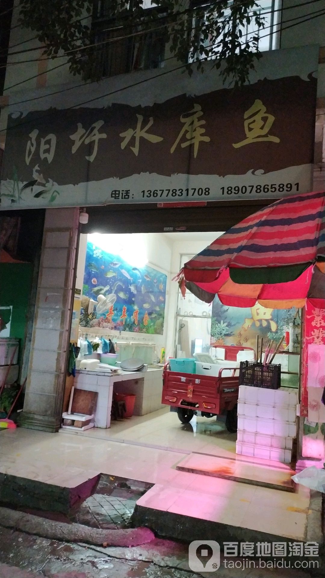 阳圩水库#鱼