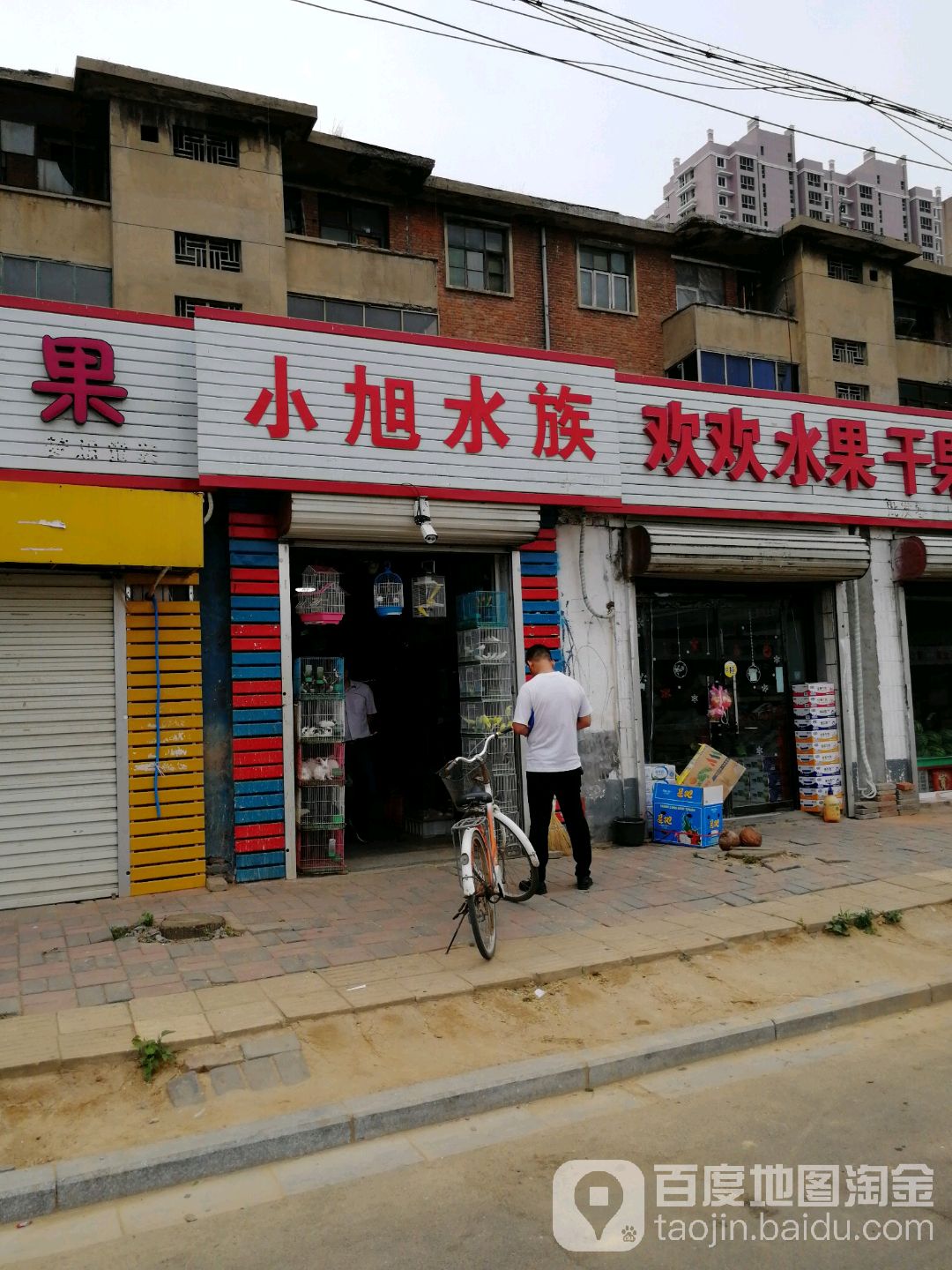 小旭水族