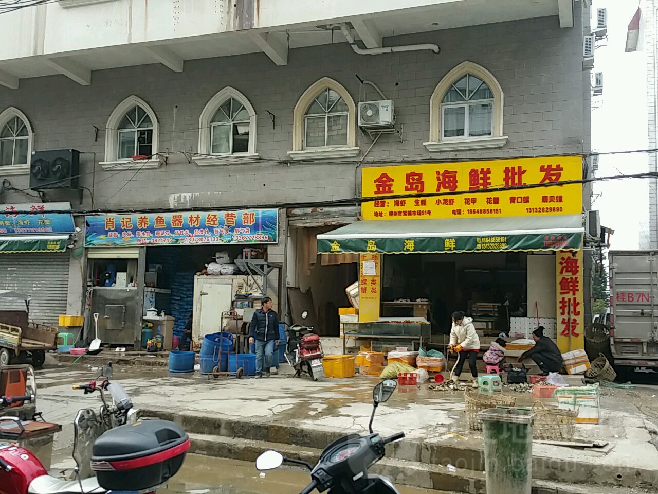 金岛海鲜批发