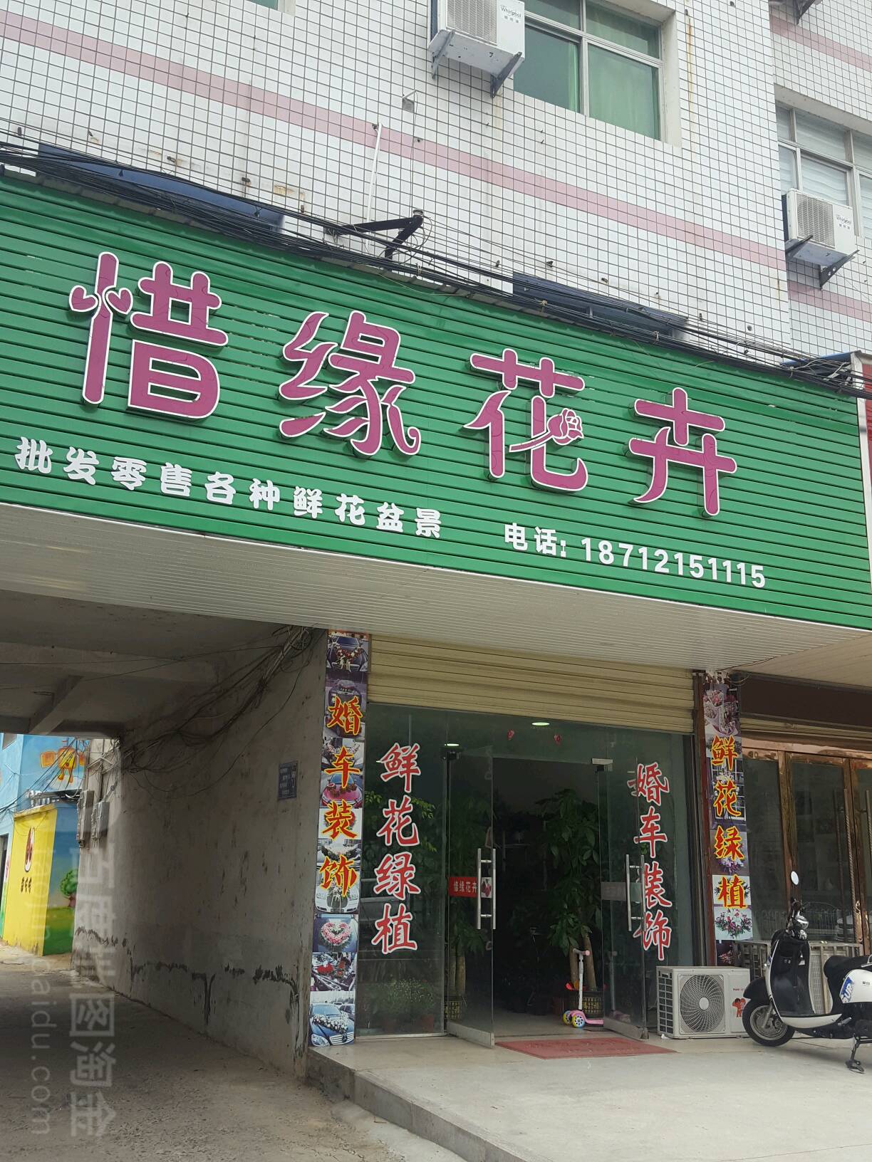 惜缘花卉·观赏鱼馆