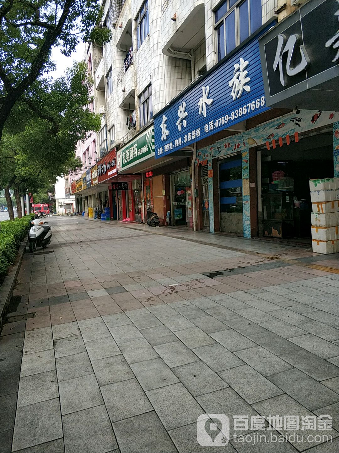 东兴水族