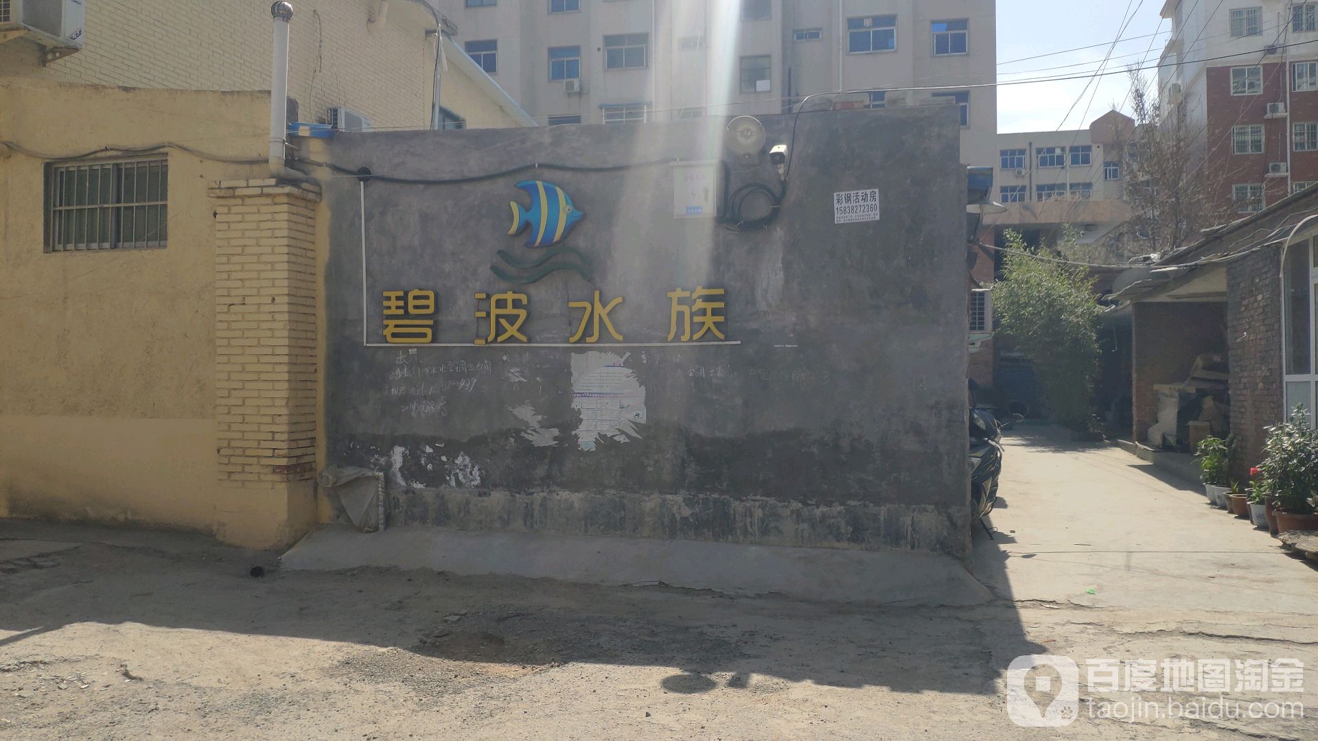 碧碧水族(索河路店)