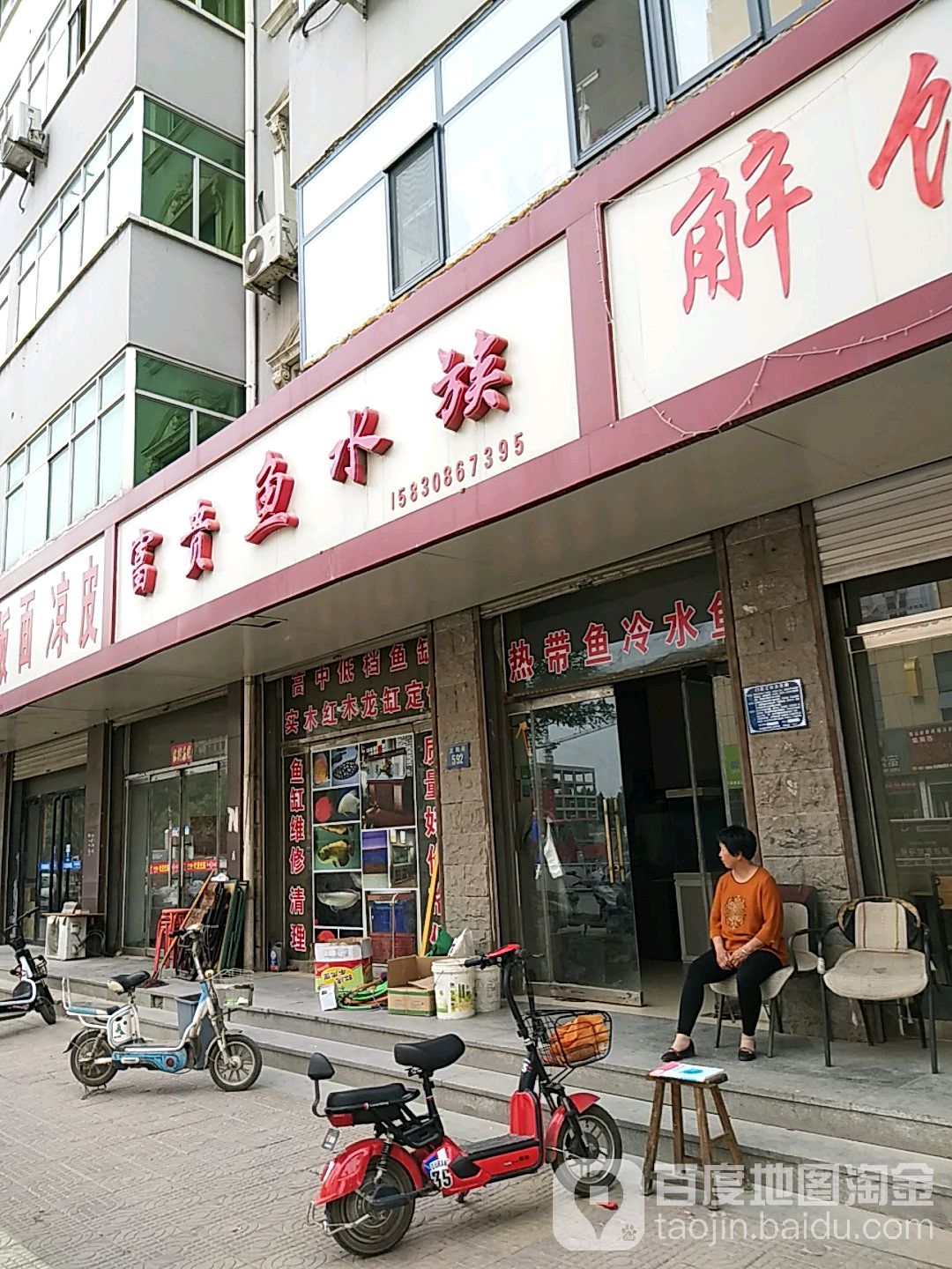 富贵鱼水族