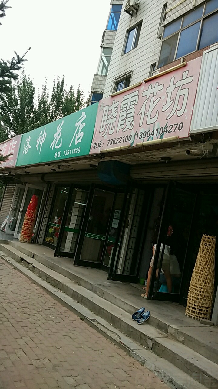 晓霞花店