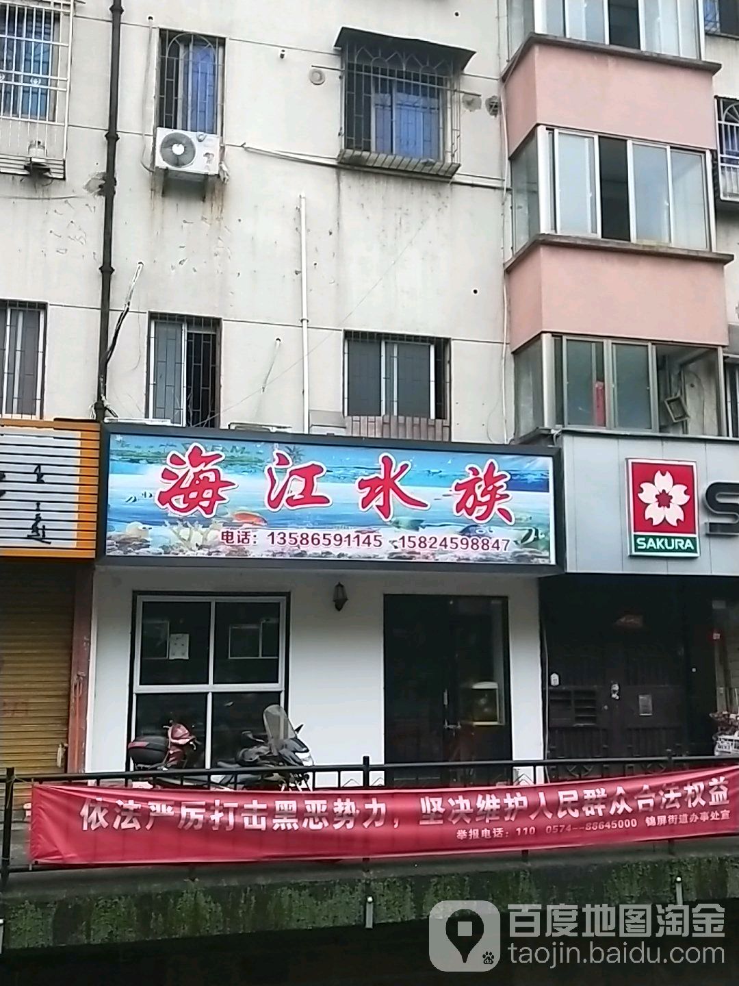 海江水族
