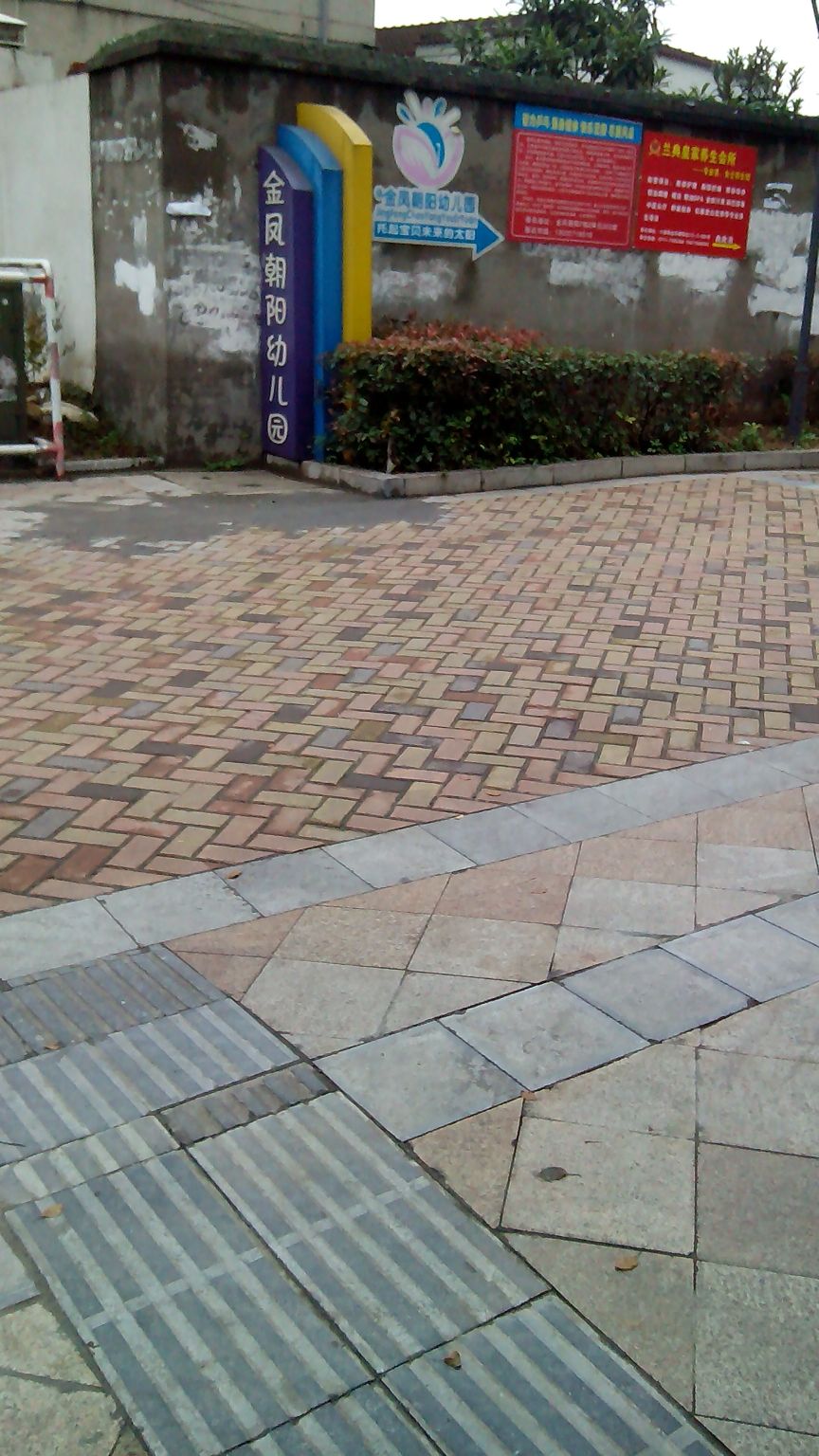 金凤朝阳幼儿园
