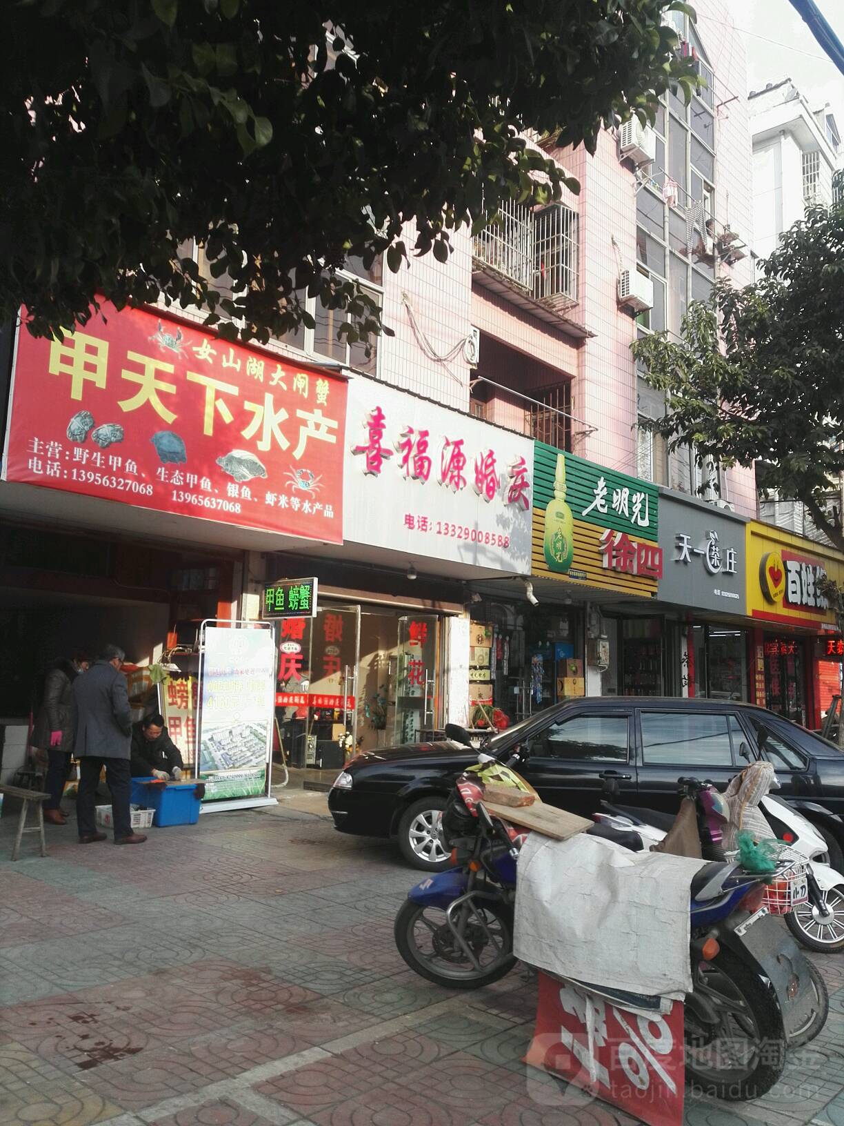 甲天下水产