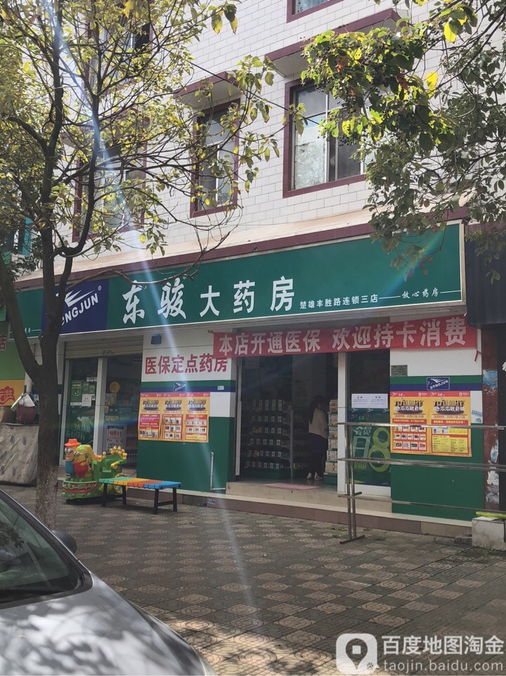 东骏大药房(楚雄丰胜路三店)