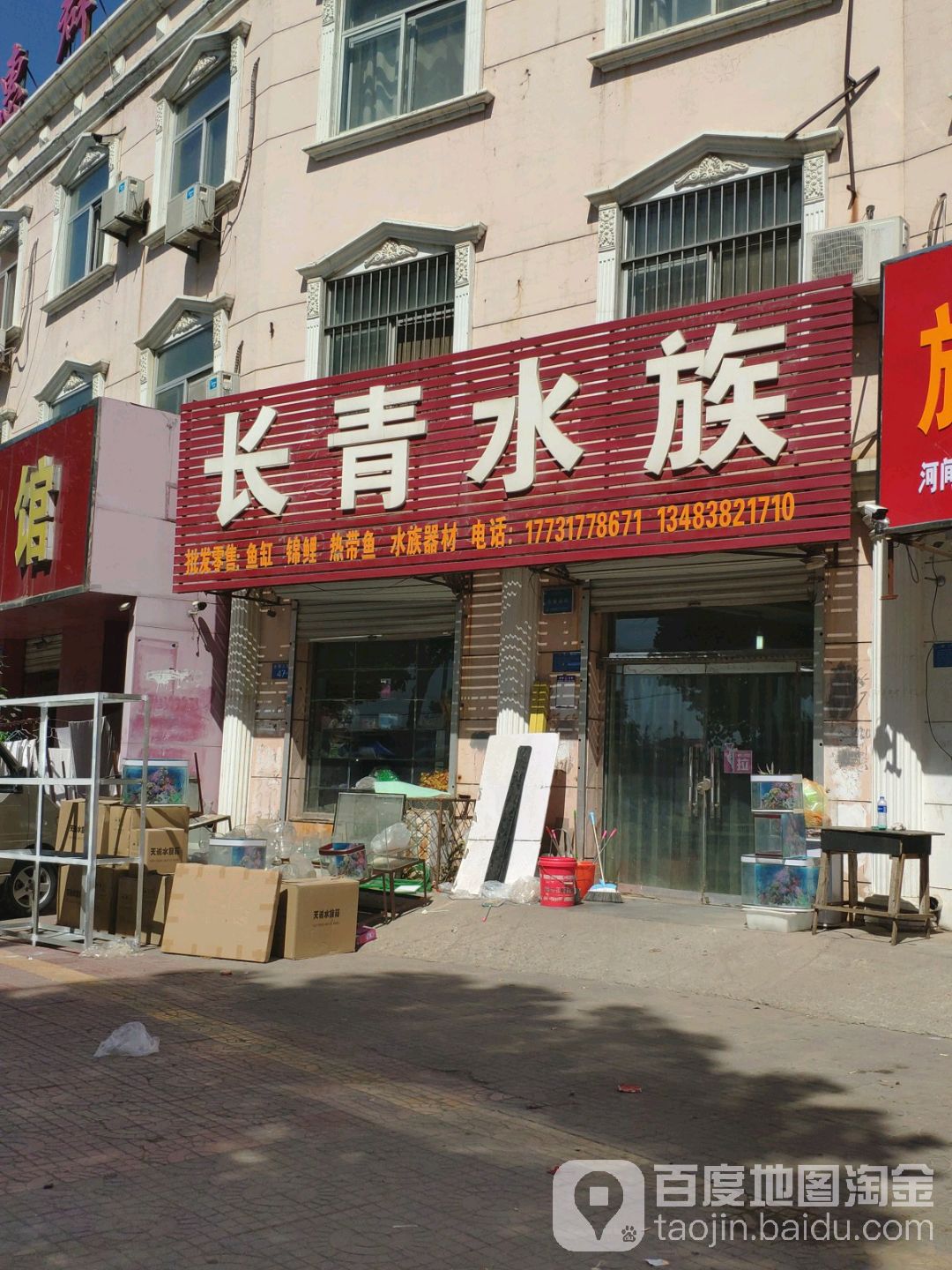 长青水族